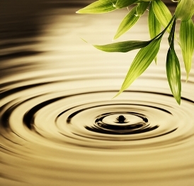 A water droplet rippling in a lake.